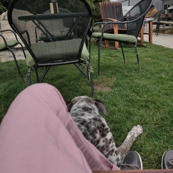 Powell Mountain Cellars - Nice grass area for the dags - Wineries Near Me - Paso Robles, California Powell Mountain Cellars - Nice grass area for the dags - Wineries Near Me - Paso Robles, California
