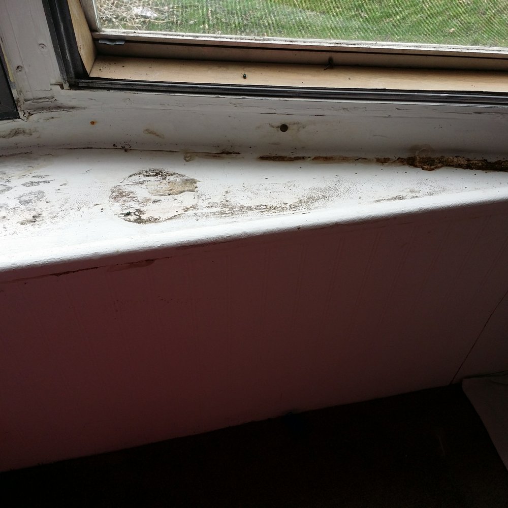 Sterling Estates - More mold - Mobile Home Parks Near Me - Justice, Illinois Sterling Estates - More mold - Mobile Home Parks Near Me - Justice, Illinois