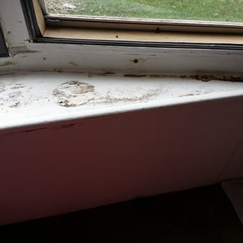 Sterling Estates - More mold - Mobile Home Parks Near Me - Justice, Illinois