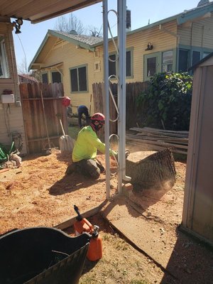 Stump Removal - Call now for a free estimate! Stump Removal - Call now for a free estimate!