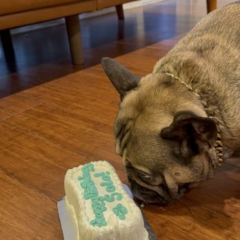 Redondo Dog - Dog cake - Pet Services Near Me - Carson, California Redondo Dog - Dog cake - Pet Services Near Me - Carson, California