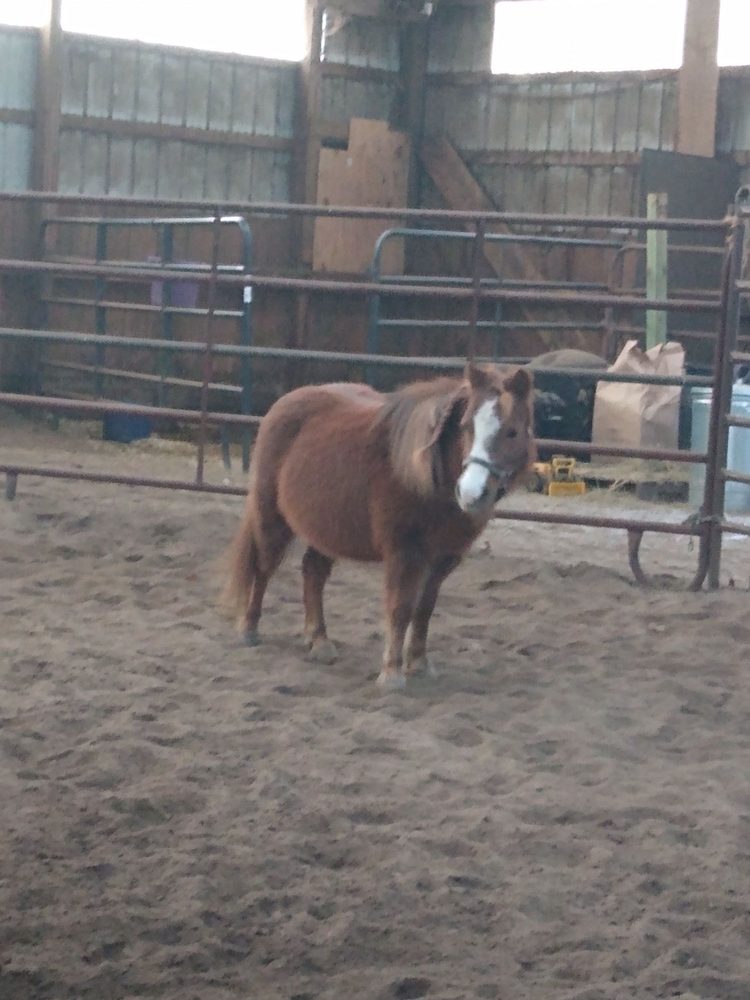 HORSESHOE FARM Updated September 2024 72 Kingston Rd, Exeter, Rhode