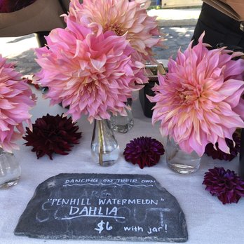 Beacon Farmers Market - Beautiful dahlias - Farmers Market Near Me - Beacon, New York Beacon Farmers Market - Beautiful dahlias - Farmers Market Near Me - Beacon, New York