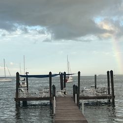 Alamar On the Bay - Sitting on the Dock