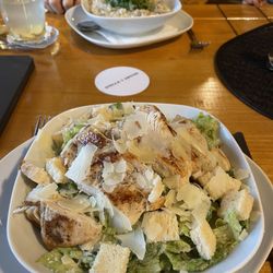 Pizzeria Verde Rosa