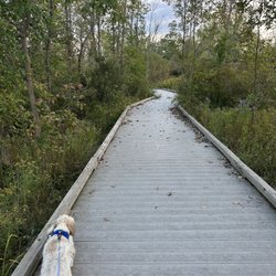 Dann Lake Park