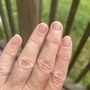 Photo of Elite Nail Spa