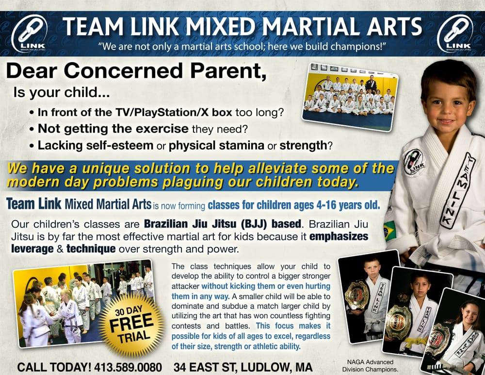 Team Link Ludlow MA - Brazilian Jiu Jitsu Logo