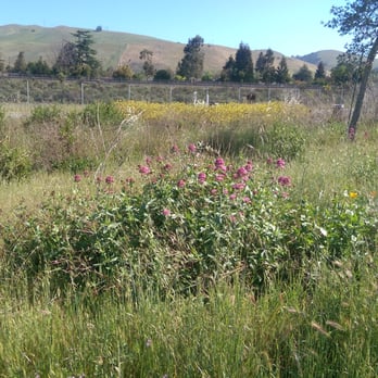 Quarry Lakes - Parks Near Me - Fremont, California Quarry Lakes - Parks Near Me - Fremont, California
