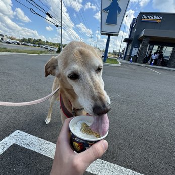 Dutch Bros Coffee - Pup Cup - Juice Bars & Smoothies Near Me - Clarksville, Tennessee