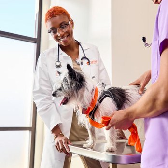 Buy vets at banfield animal hospital Outlet Black Friday