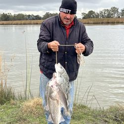 Marina Bait and Tackle - We got six fish in one day off a worm that was 14$