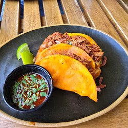 Tacobirria - Birria Tacos