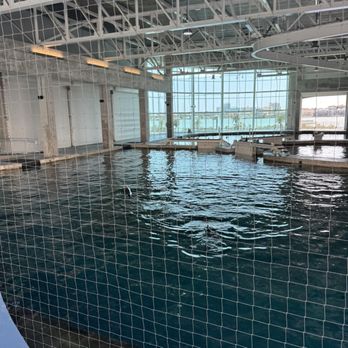 Clearwater Marine Aquarium - Aquariums Near Me - Clearwater, Florida
