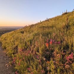 William F. Hayden Park on Green Mountain - Instagram: @telephonesmoothie