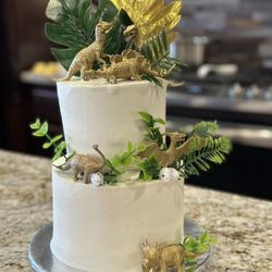 Mrs. Chadwick's Bakery And Coffee Bar - Dinosaur Themed Birthday Cake