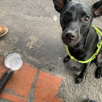 Over Easy - Dog friendly! - Breakfast & Brunch Near Me - Kailua, Hawaii Over Easy - Dog friendly! - Breakfast & Brunch Near Me - Kailua, Hawaii