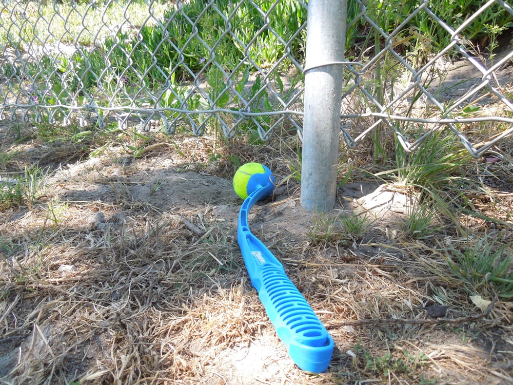 Del Rey Oaks Dog Park Logo