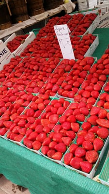 Pershing Square Farmers Market by null