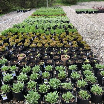 Roth Nursery - Nurseries & Gardening Near Me - Armonk, New York Roth Nursery - Nurseries & Gardening Near Me - Armonk, New York