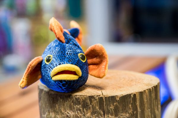 Underwater World by null