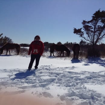 Assateague State Park - Parks Near Me - Berlin, Maryland