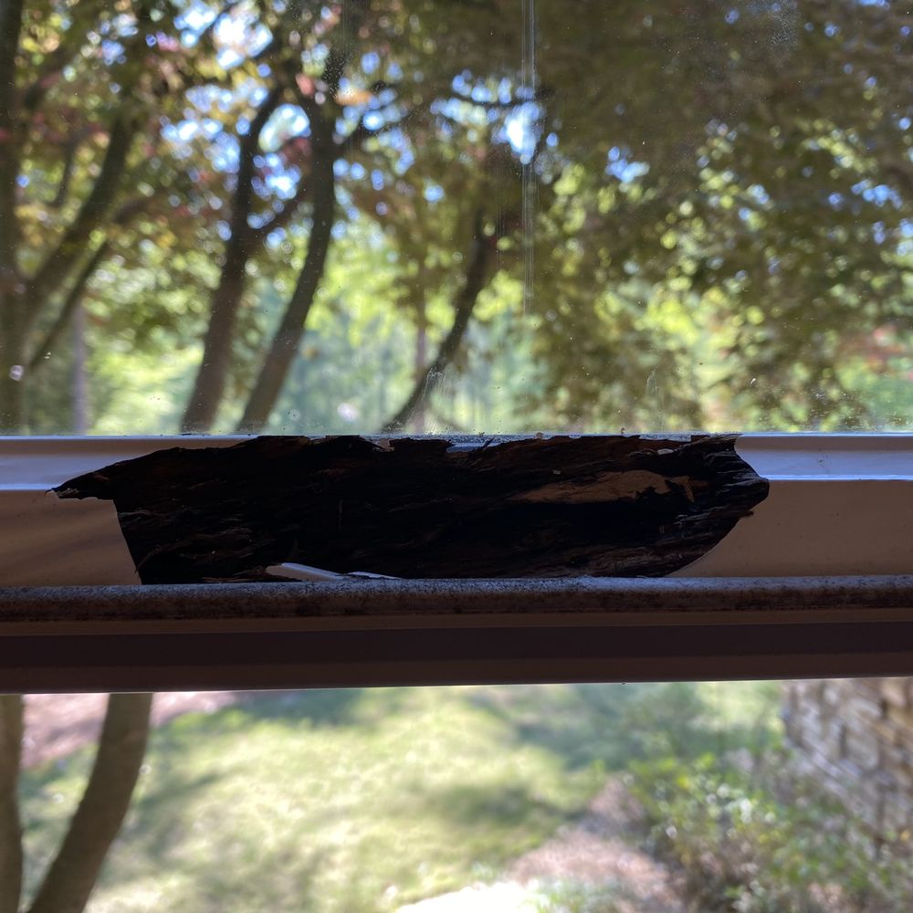 Inside of top sash rot due to deal failure Inside of top sash rot due to deal failure