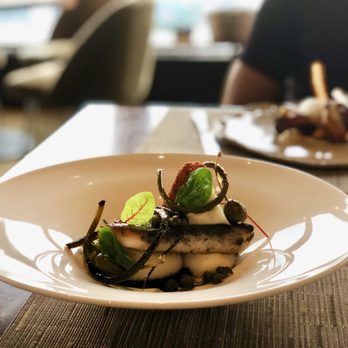 Canoe - Cod - Canadian (New) Near Me - Toronto, Ontario