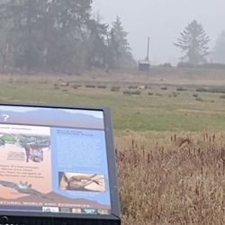 Dean Creek Elk Viewing Area