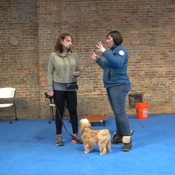 Canine Therapy Corps - Our relationship-based training helps you mold your pooch into a well-behaved dog. - Community Service/Non-Profit Near Me - Chicago, Illinois