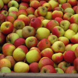 Blarney Farmers Market