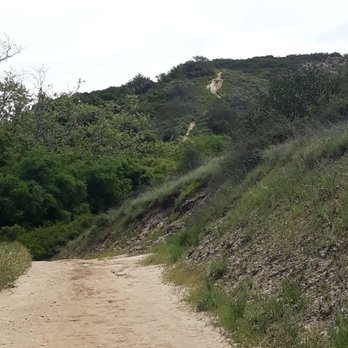 Marian Bear Memorial Park - Top of this steep hill is where the rattler was. - Hiking Near Me - San Diego, California Marian Bear Memorial Park - Top of this steep hill is where the rattler was. - Hiking Near Me - San Diego, California