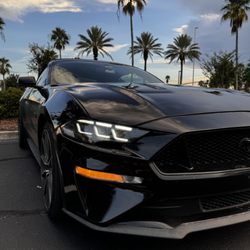 Fortune Customz