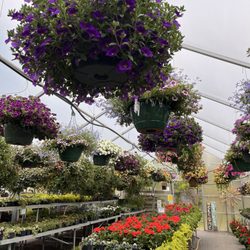 Costa Produce Farm & Greenhouse