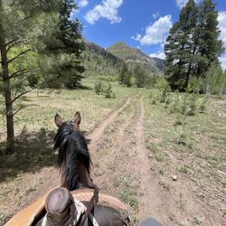 Rapp Corral