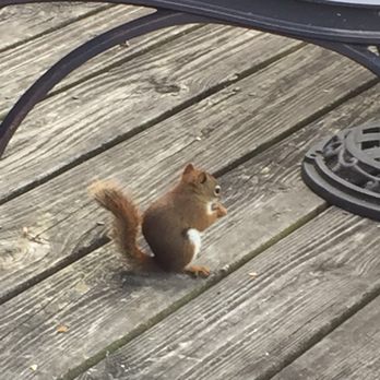 Jose's Cantina - We had a friend eat on the deck with us! - Mexican Near Me - St. Ignace, Michigan