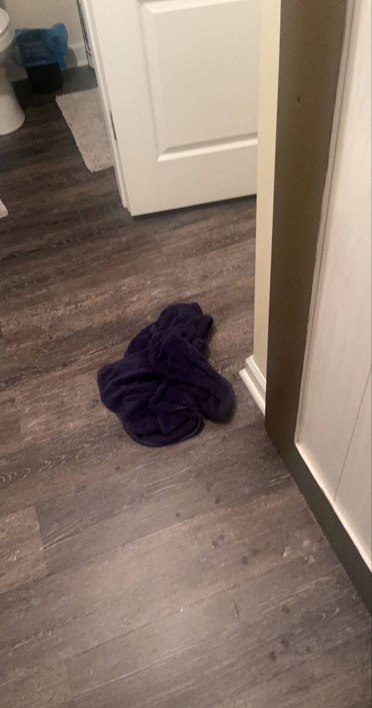 Slide of 911 Restoration of Virginia Peninsula