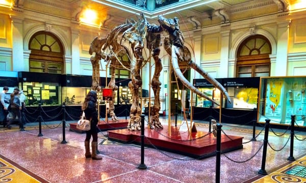 Museum of Natural History “Giacomo Doria” by null