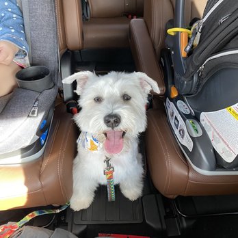 Barkley Square - Pet Sitting Near Me - Falls Church, Virginia
