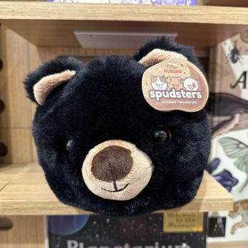 Barnes & Noble - Plushies - Coffee & Tea Near Me - Sandy, Utah Barnes & Noble - Plushies - Coffee & Tea Near Me - Sandy, Utah