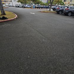 CJ Landscape and Yard Maintenance