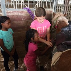 Sam Houston Equestrian Center