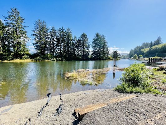 Riverside Fish n' Chips by null
