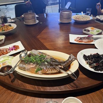 Baron's Sino Kitchen & Bar - Chef's Choice Steamed Fish, Peking Duck, Wood-ear Salad - Chinese Near Me - Bellevue, Washington Baron's Sino Kitchen & Bar - Chef's Choice Steamed Fish, Peking Duck, Wood-ear Salad - Chinese Near Me - Bellevue, Washington