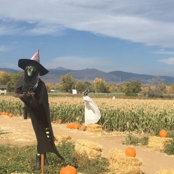 Munson's Farm Stand - Corn field - Fruits & Veggies Near Me - Boulder, Colorado