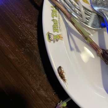 Pho Tai - We found this roach in our soup. - Vietnamese Near Me - Lakewood, Washington Pho Tai - We found this roach in our soup. - Vietnamese Near Me - Lakewood, Washington