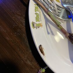 Pho Tai - We found this roach in our soup.