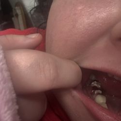 Comfort Dental