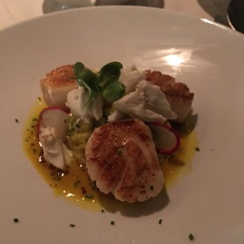 Potente - Scallops risotto - Italian Near Me - Houston, Texas Potente - Scallops risotto - Italian Near Me - Houston, Texas
