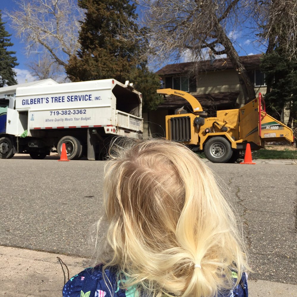 Gilbert's Tree Service - My daughter and I watching them work on our trees Gilbert's Tree Service - My daughter and I watching them work on our trees